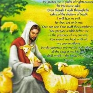 Meet your Posher, Bruno